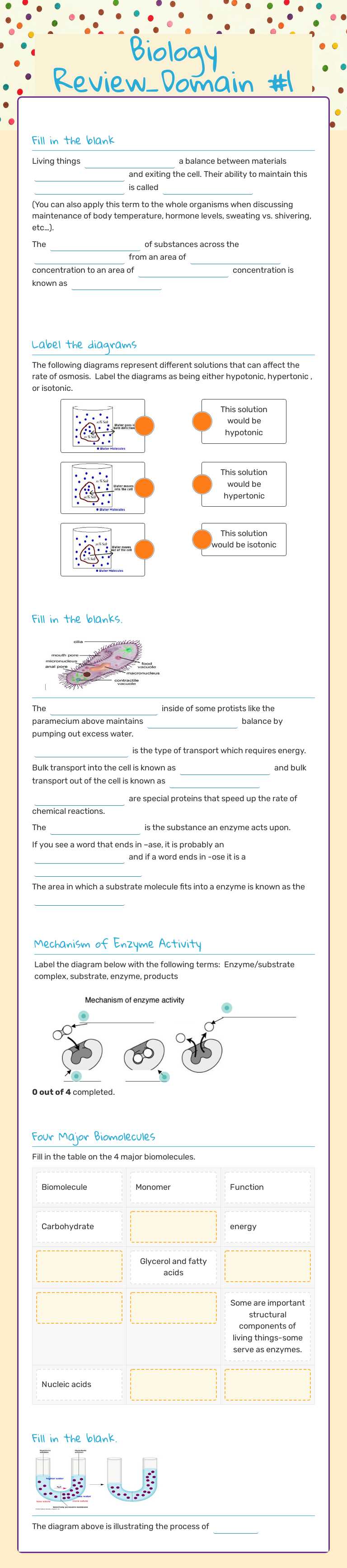 Biology Review_Domain #1 worksheet preview image