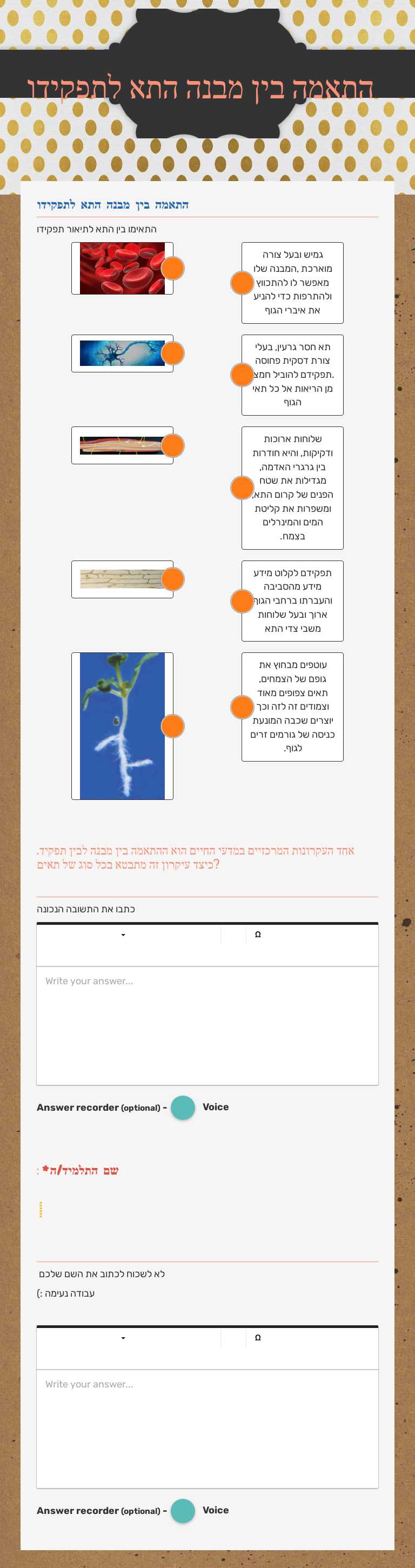 התאמה בין מבנה התא לתפקידו worksheet preview image