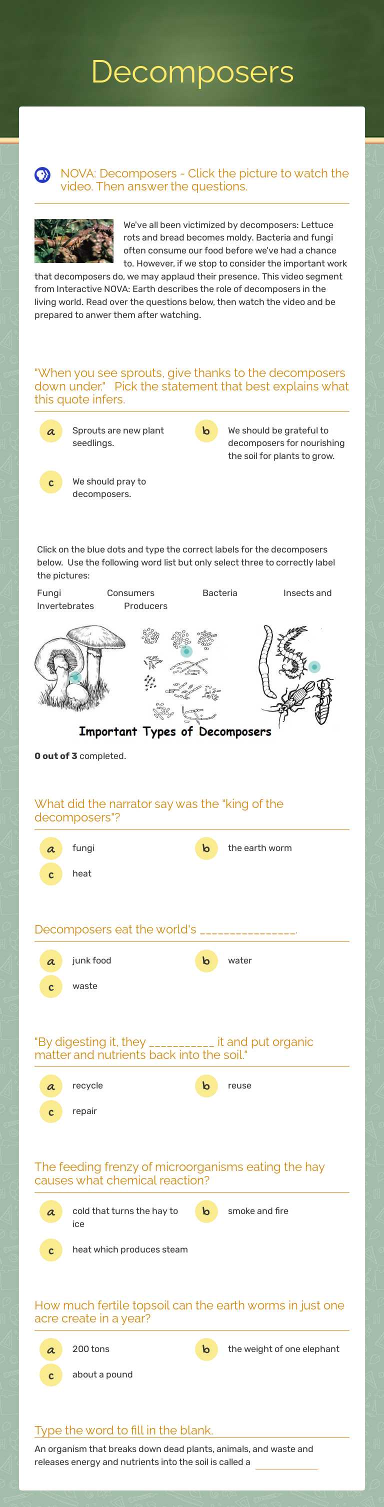 Decomposers worksheet preview image