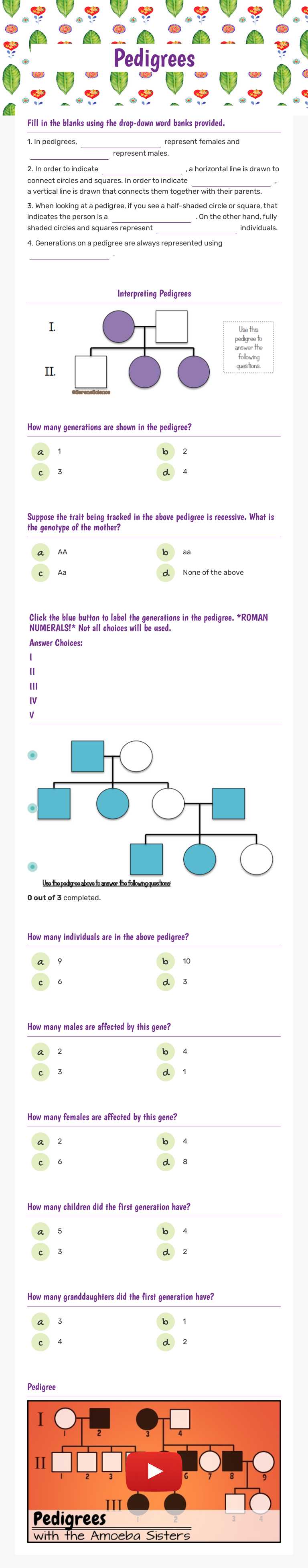 Pedigrees worksheet preview image