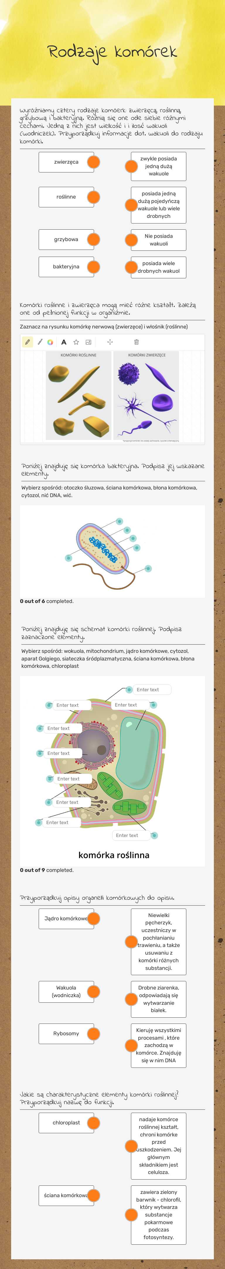 Rodzaje komórek worksheet preview image