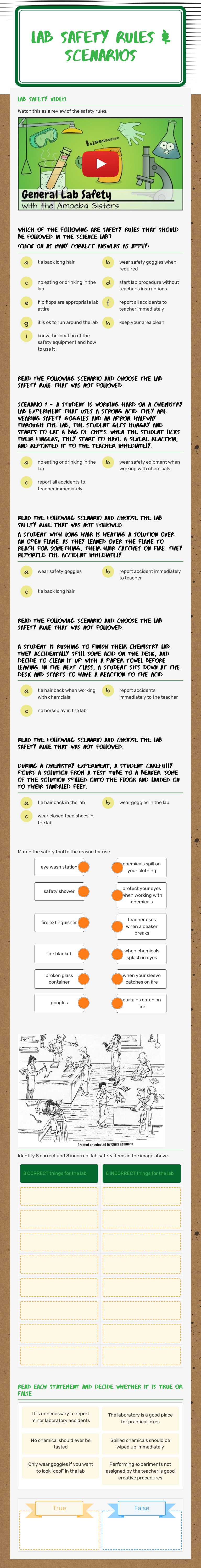 Lab Safety Rules
&
Scenarios worksheet preview image