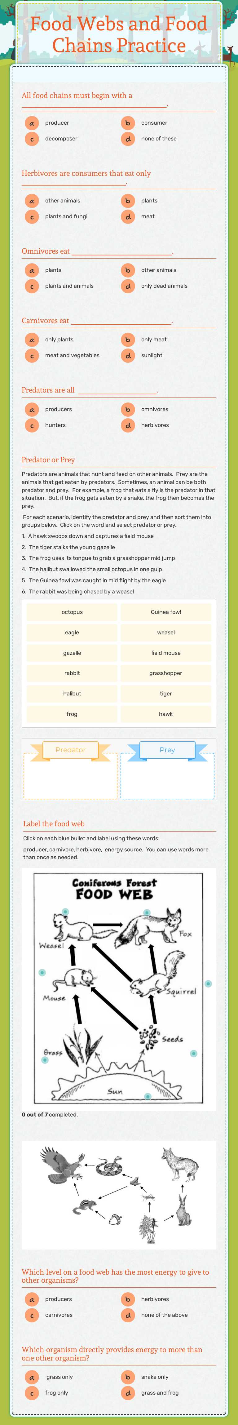 Food Webs and Food Chains Practice worksheet preview image