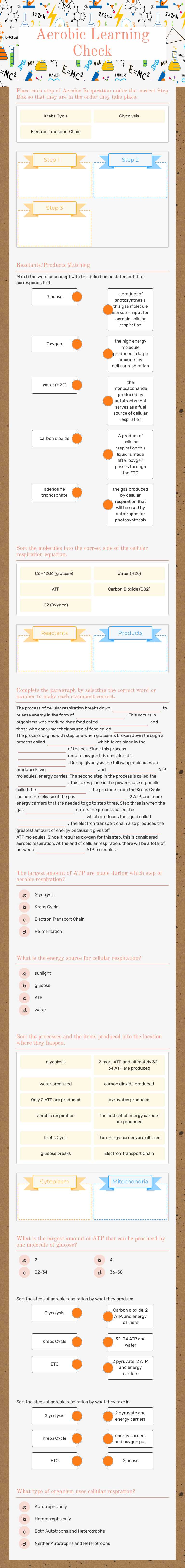 Aerobic Learning Check Grade 10 worksheet preview