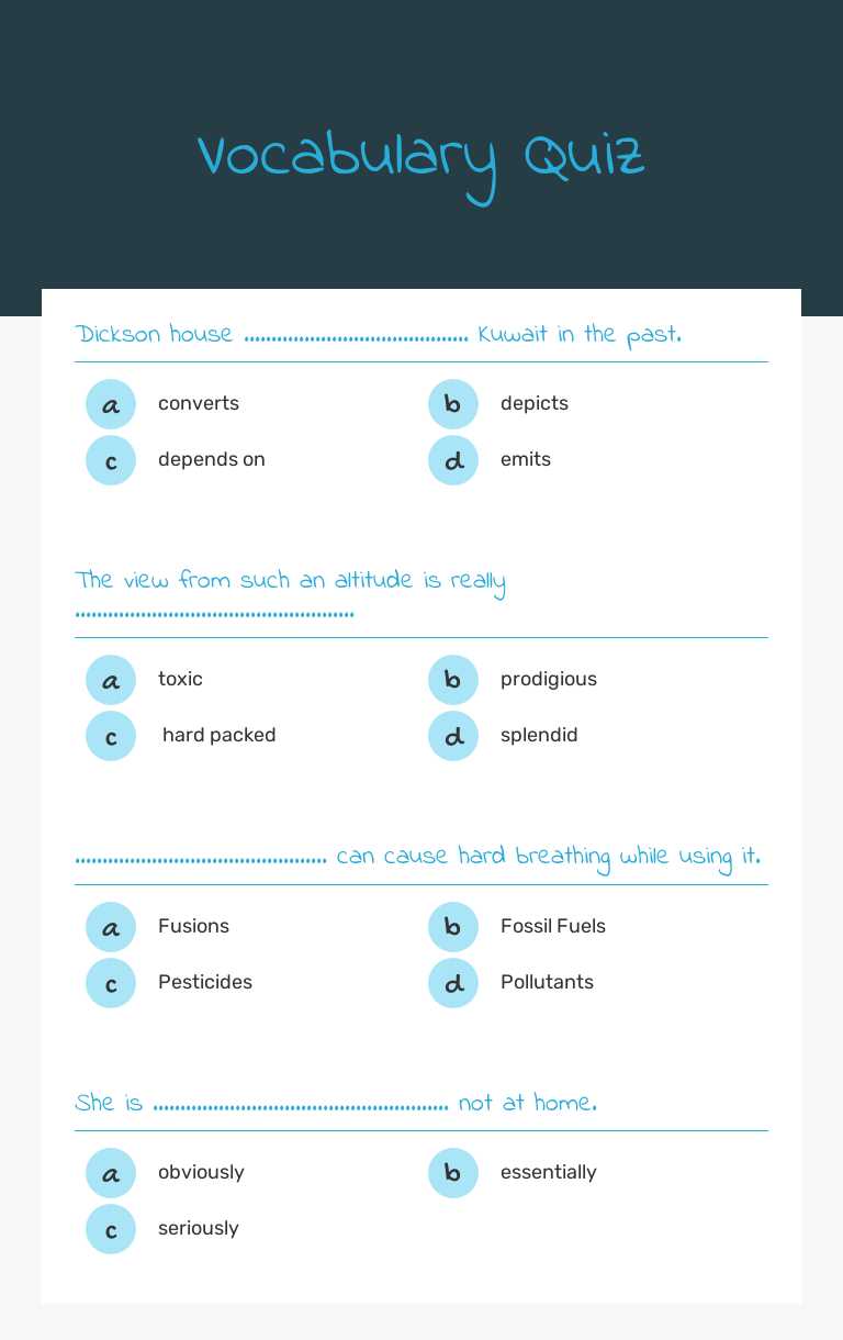 Vocabulary Quiz worksheet preview image