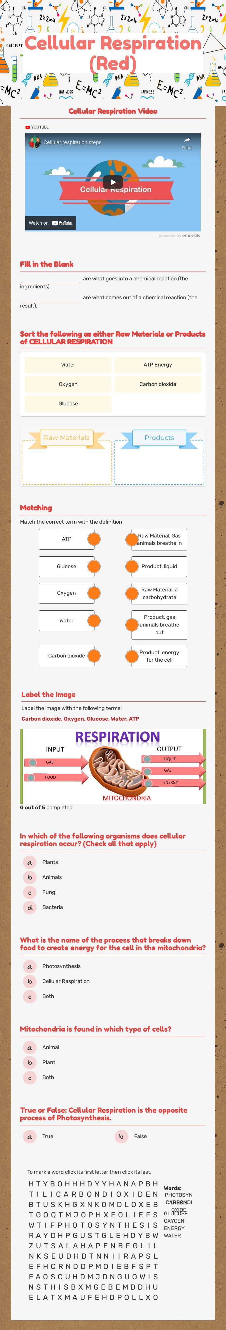Cellular Respiration (Red) worksheet preview image