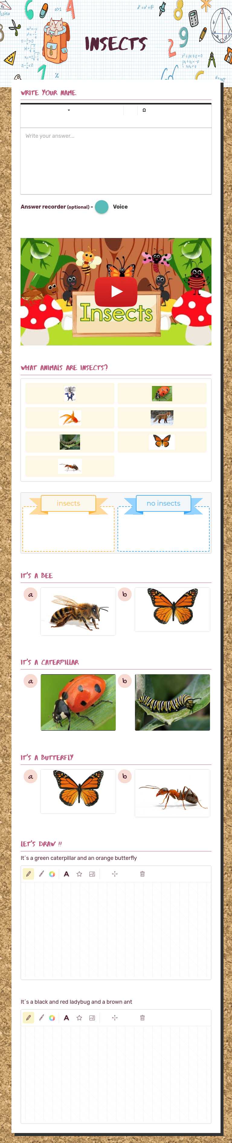 insects Preschool worksheet preview