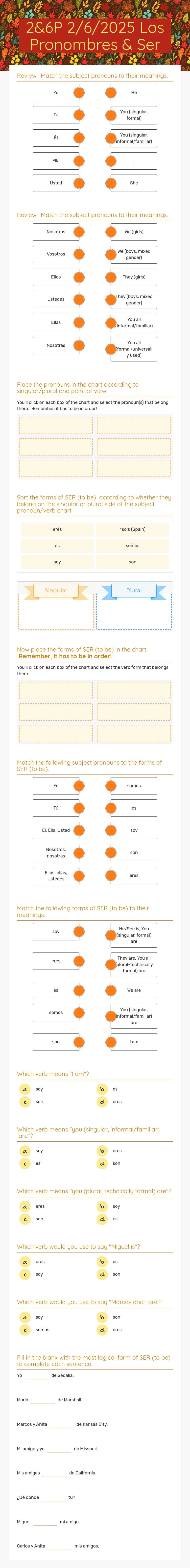 2&6P 2/6/2025 Los Pronombres & Ser worksheet preview image