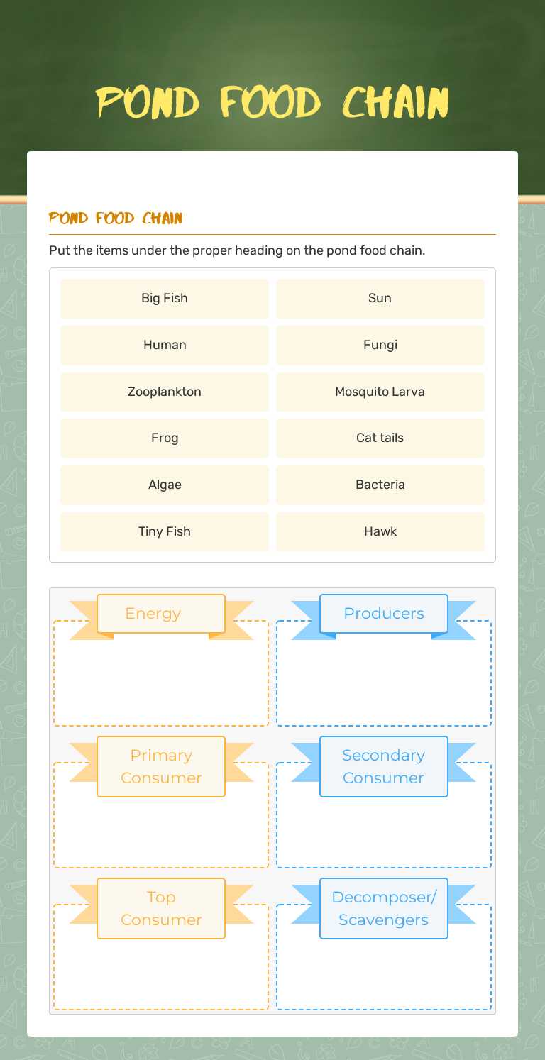 Pond Food Chain worksheet preview image