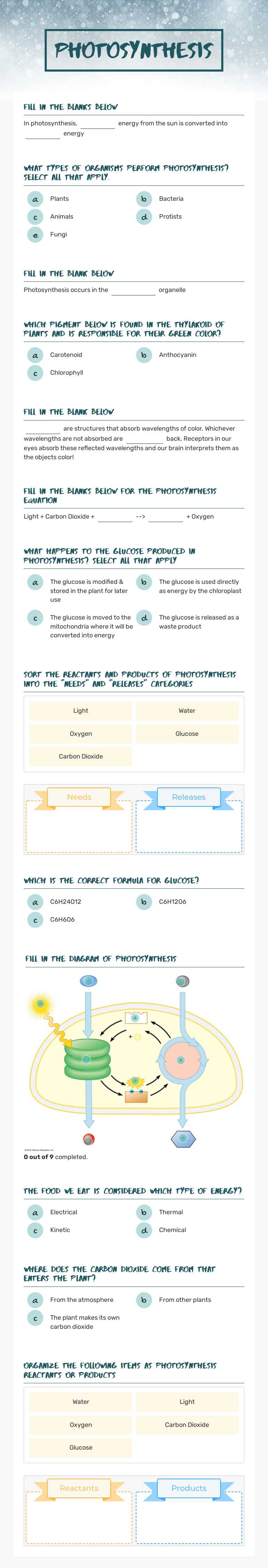 Photosynthesis worksheet preview image