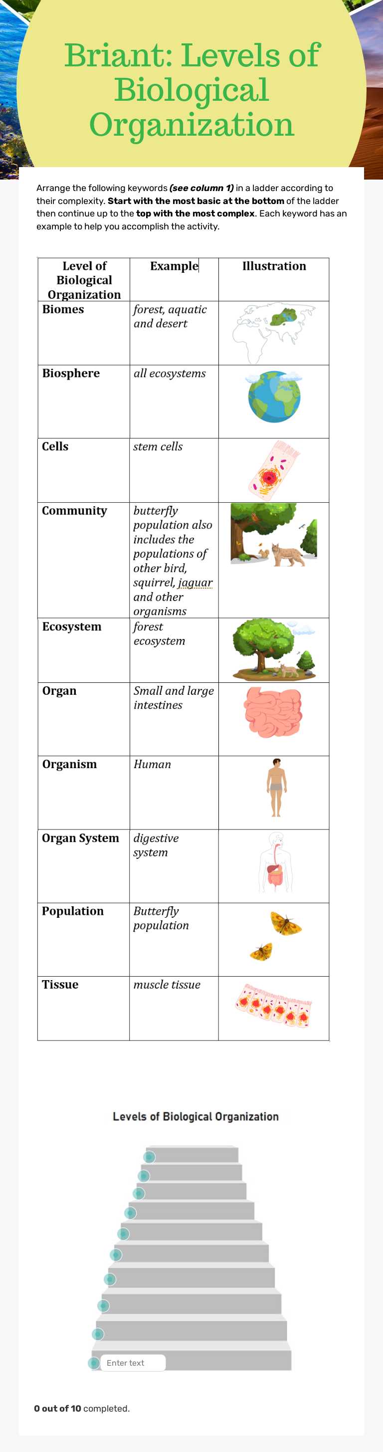 Briant: Levels of Biological Organization worksheet preview image