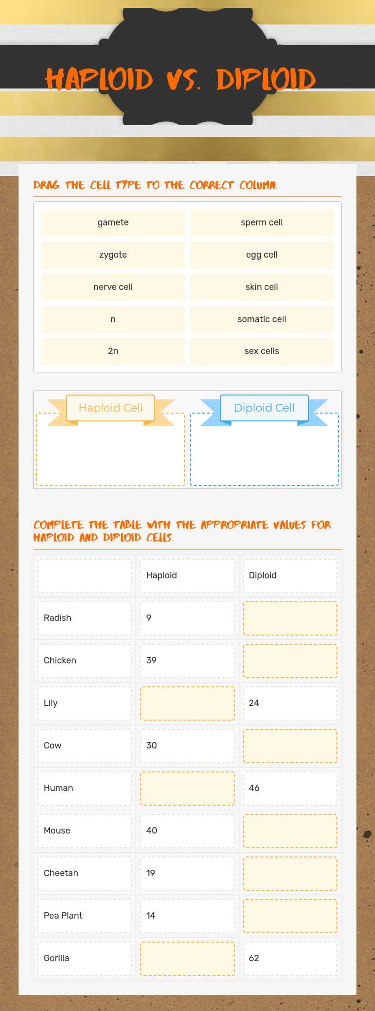 Haploid vs. Diploid worksheet preview image