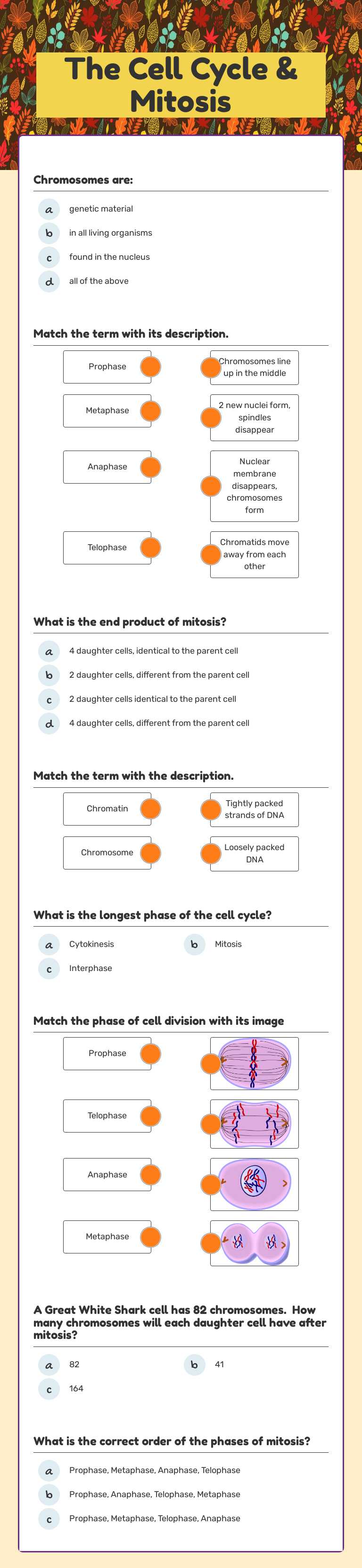The Cell Cycle & Mitosis worksheet preview image