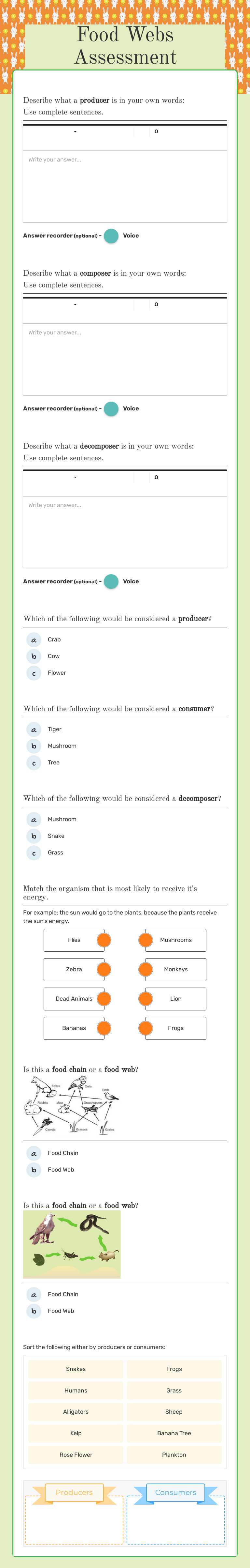 Food Webs Assessment worksheet preview image