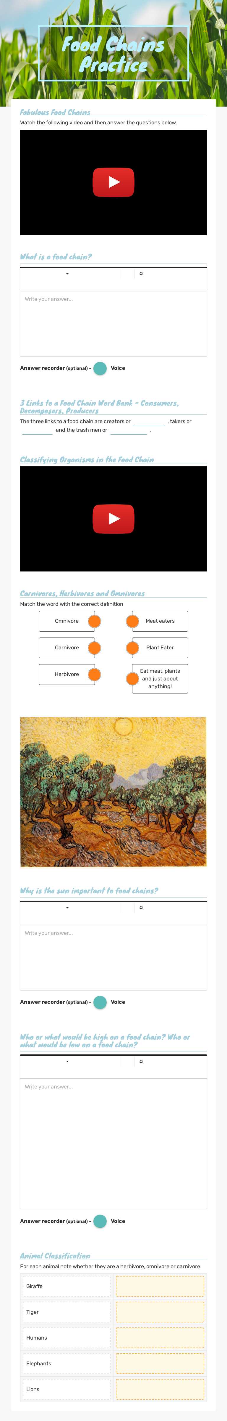 Food Chains Practice worksheet preview image