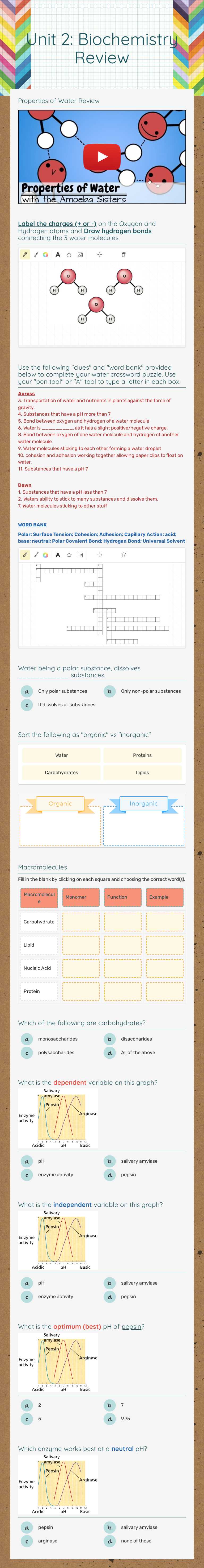 Unit 2: Biochemistry Review worksheet preview image