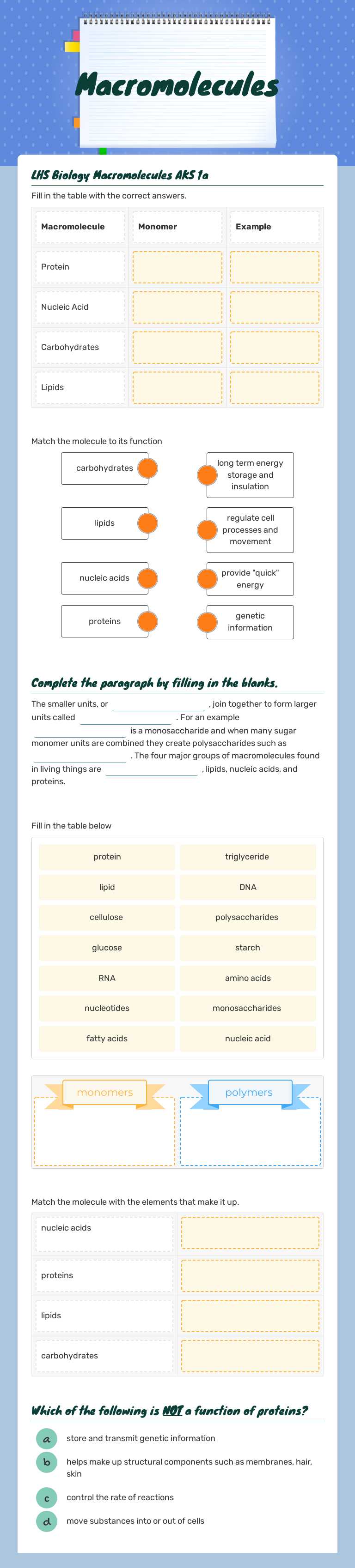 Macromolecules worksheet preview image