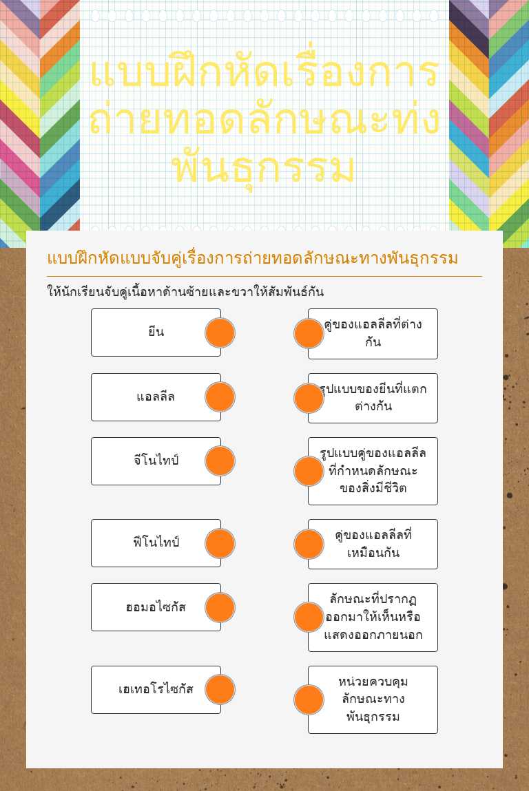 แบบฝึกหัดเรื่องการถ่ายทอดลักษณะทางพันธุกรรม worksheet preview image