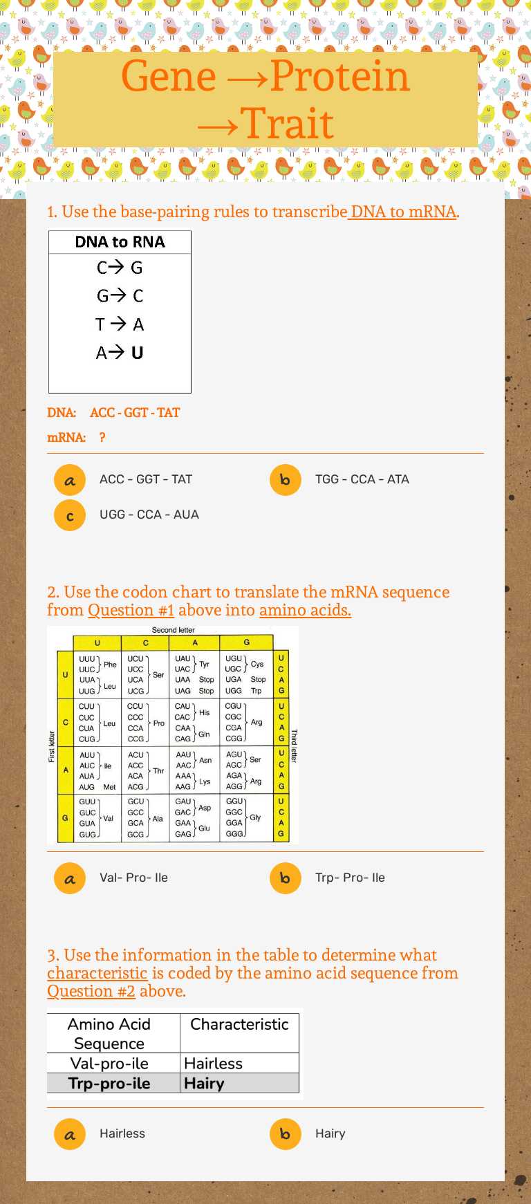 Gene →Protein →Trait worksheet preview