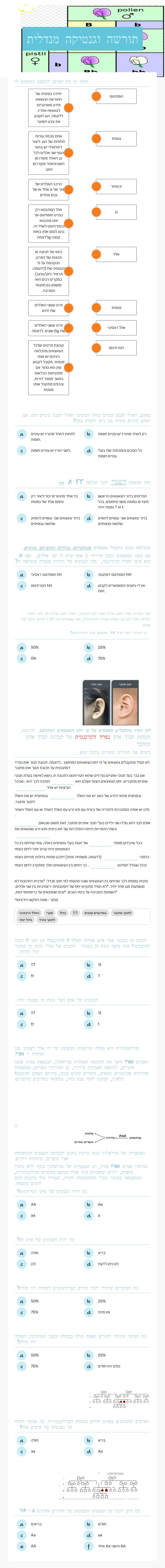 תורשה    וגנטיקה מנדלית worksheet preview image