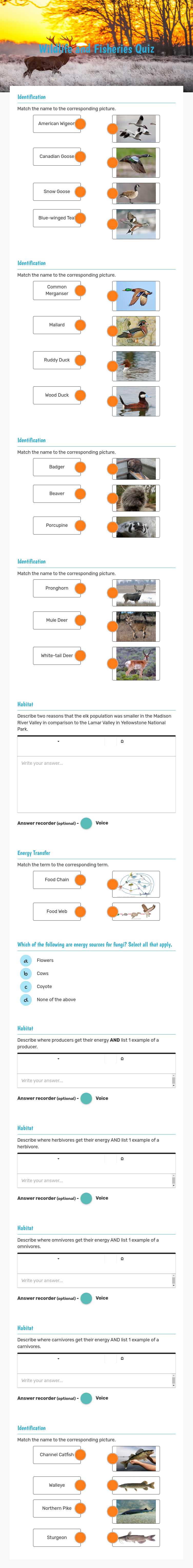 Wildlife and Fisheries Quiz Grade 10 worksheet preview