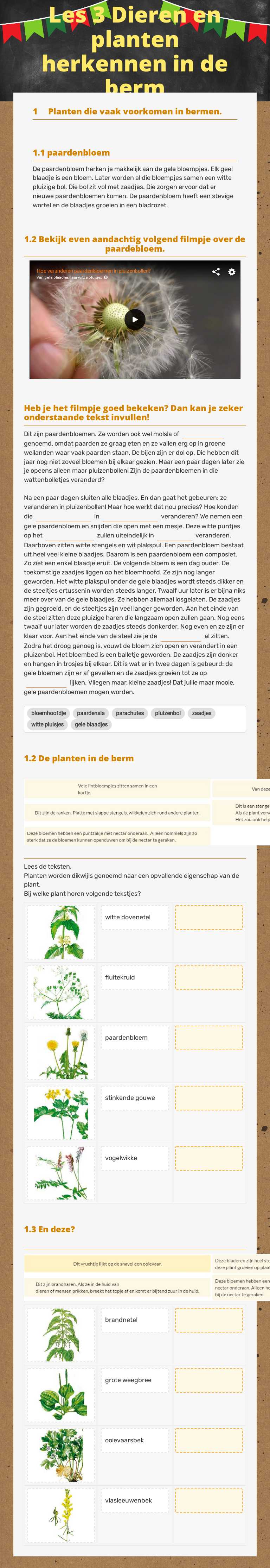 Les 3 Dieren en planten herkennen in de berm worksheet preview image