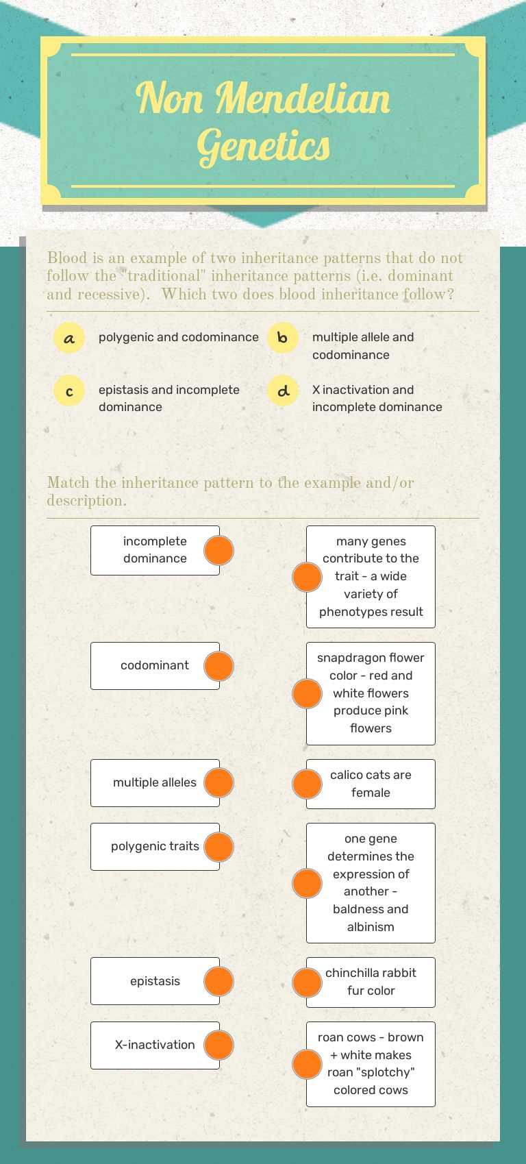 Non Mendelian Genetics worksheet preview image