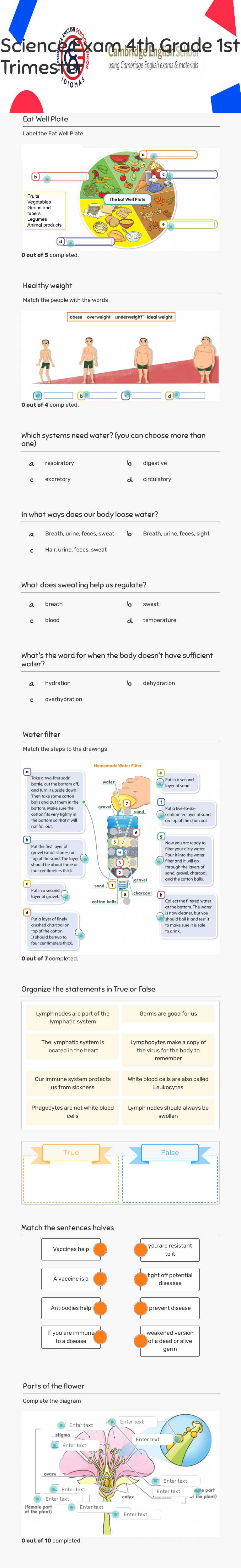 Science Exam              
        4th Grade             
1st Trimester worksheet preview image