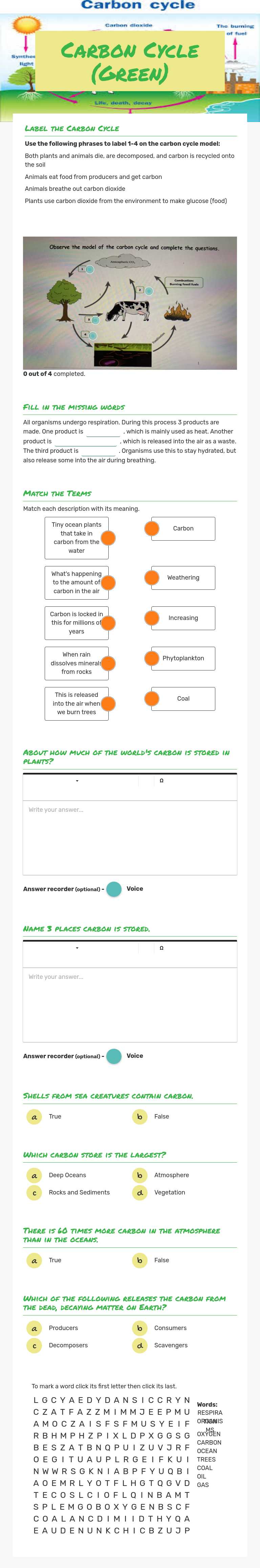 Carbon Cycle (Green) worksheet preview image