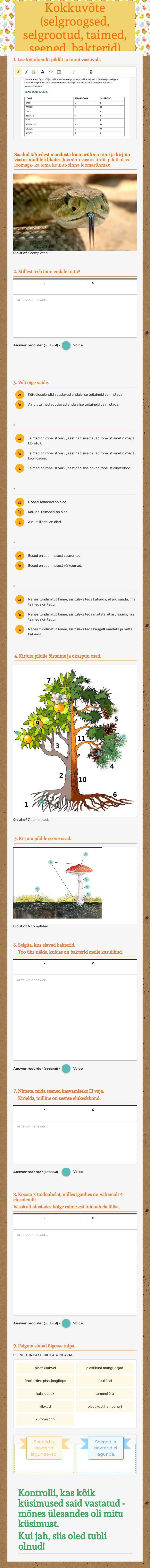 Kokkuvõte (selgroogsed, selgrootud, taimed, seened, bakterid) worksheet preview image