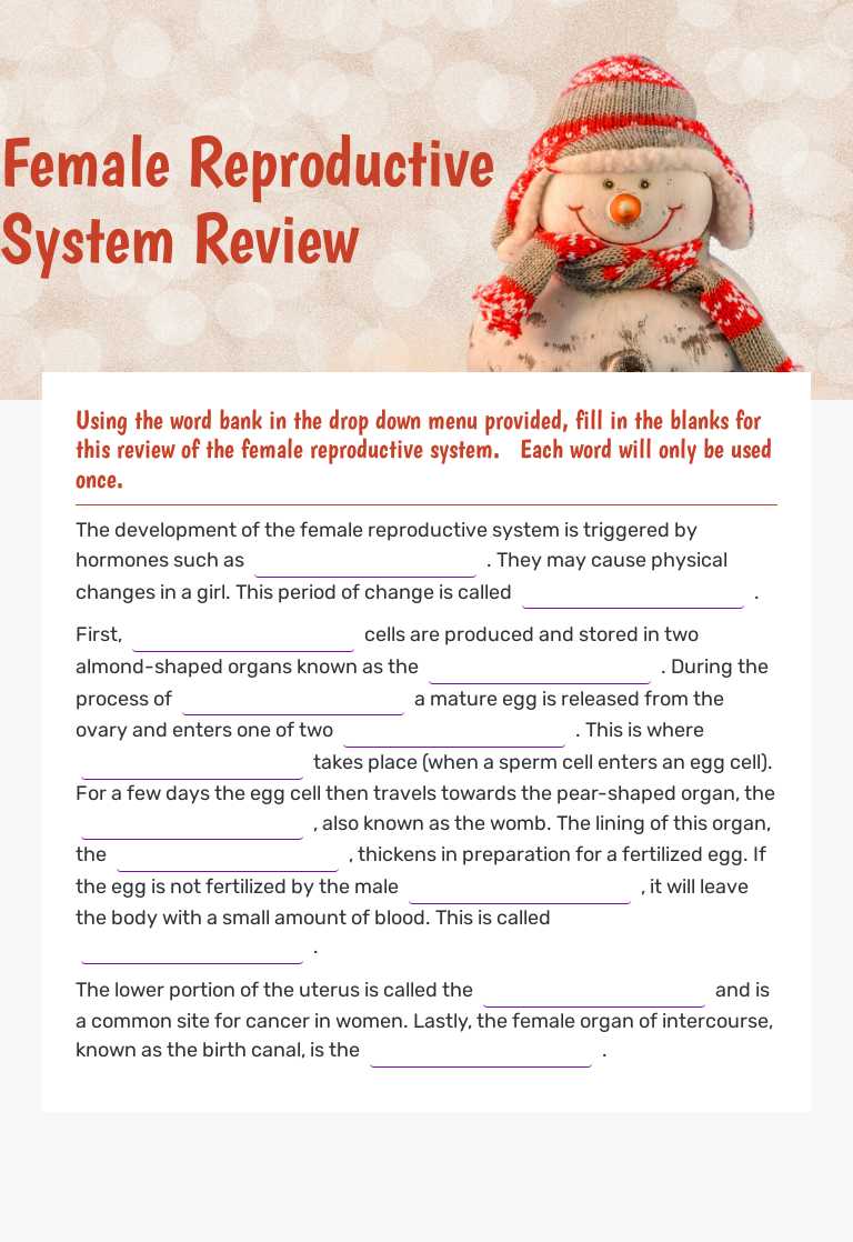 Female Reproductive System Review worksheet preview image