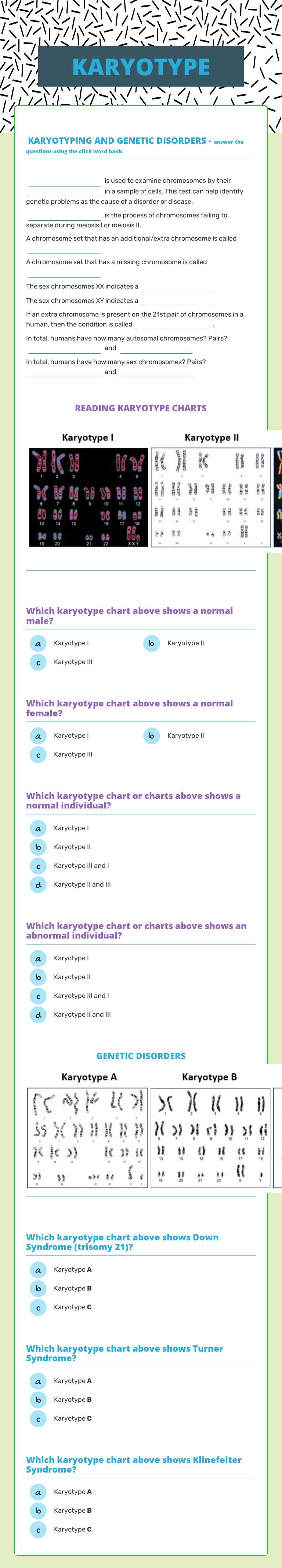 KARYOTYPE worksheet preview