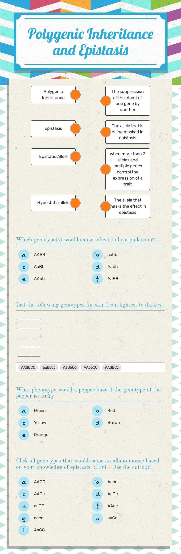 Polygenic Inheritance and Epistasis worksheet preview image