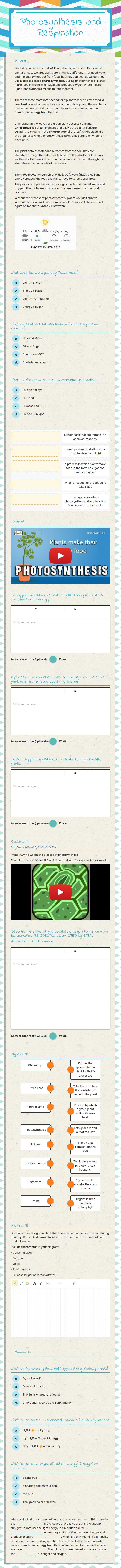 Photosynthesis and Respiration worksheet preview image