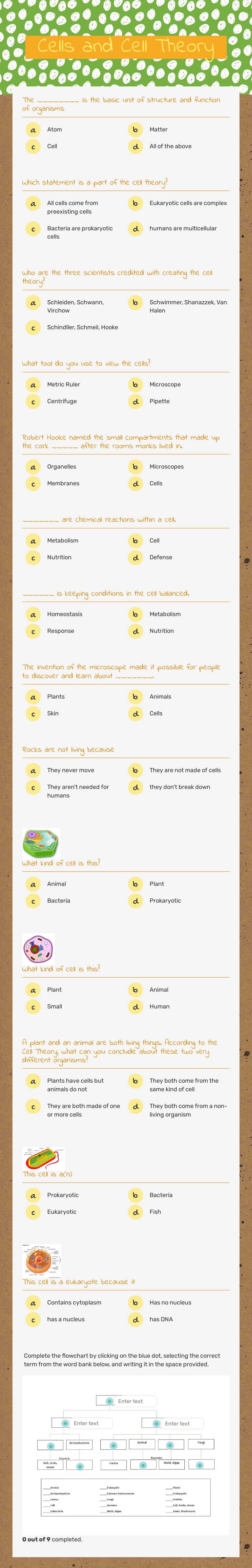 Cells and Cell Theory Grade 7 worksheet preview