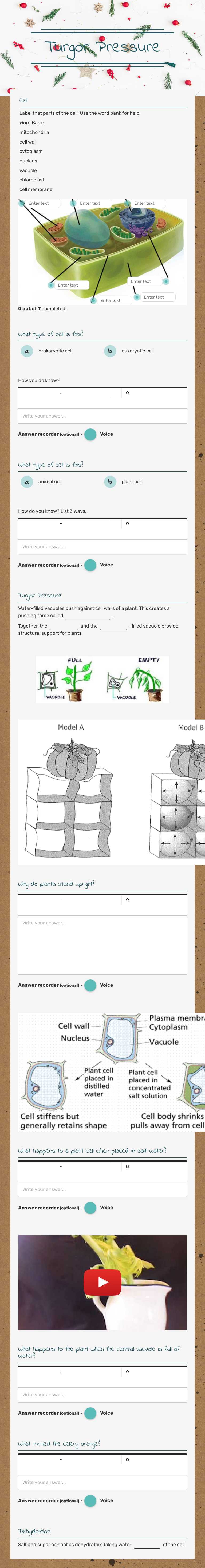 Turgor Pressure worksheet preview image