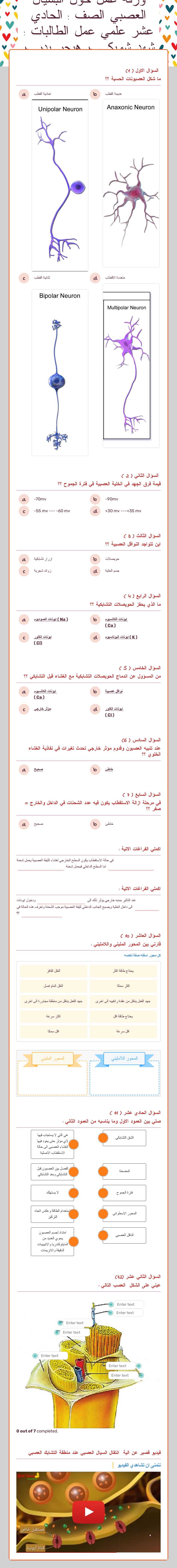 ورقة عمل حول البسيال العصبي الصف : الحادي عشر علمي عمل الطالبات : شهد شويكي + هيجر بدر + سيرين شحادة worksheet preview image