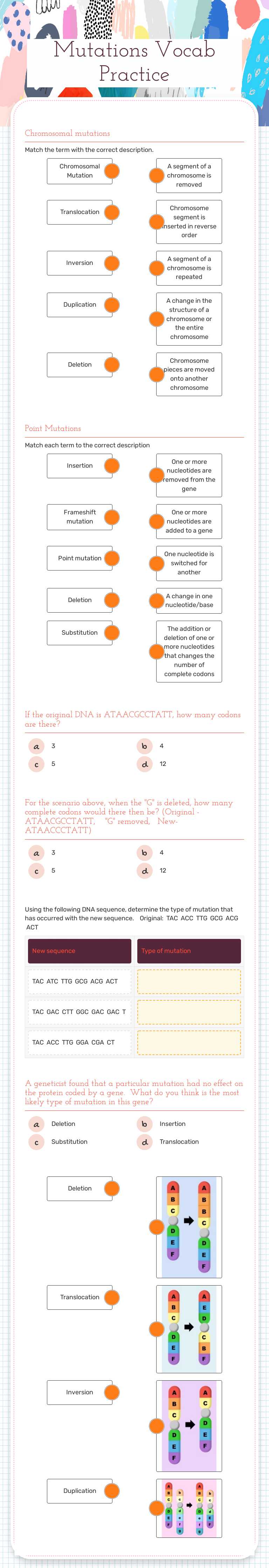 Mutations Vocab Practice worksheet preview image