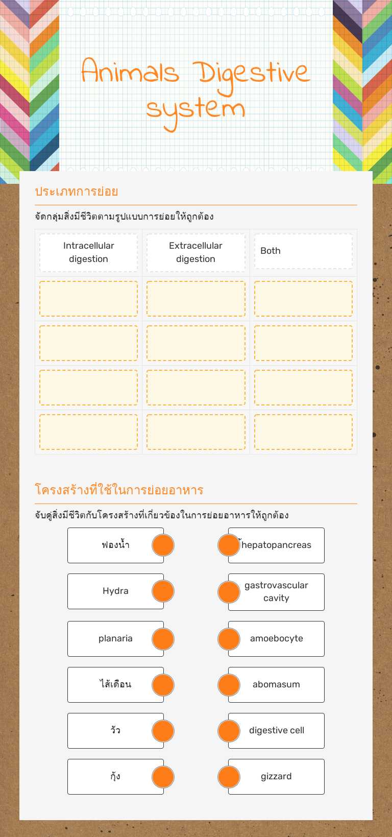 Animals Digestive system worksheet preview