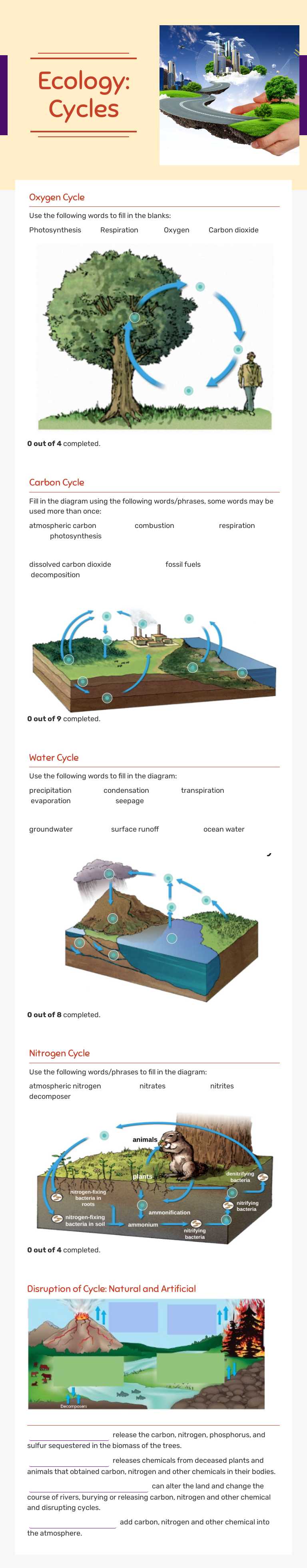 Ecology:
Cycles Grade 10 worksheet preview