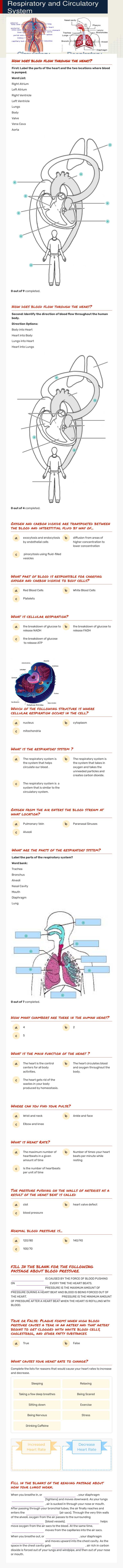 Worksheet M3IMSL worksheet preview image