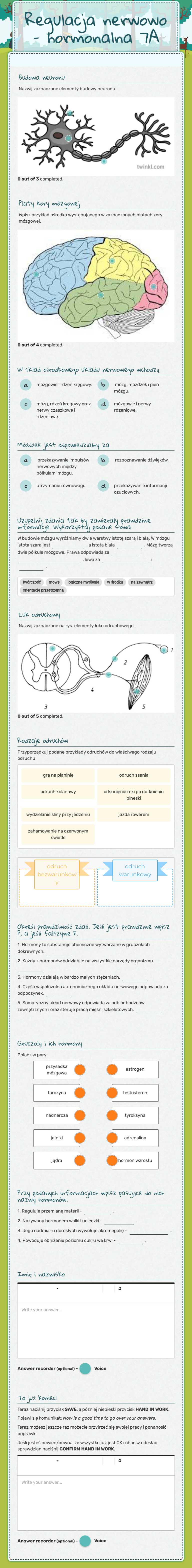 Regulacja nerwowo - hormonalna 7A worksheet preview image