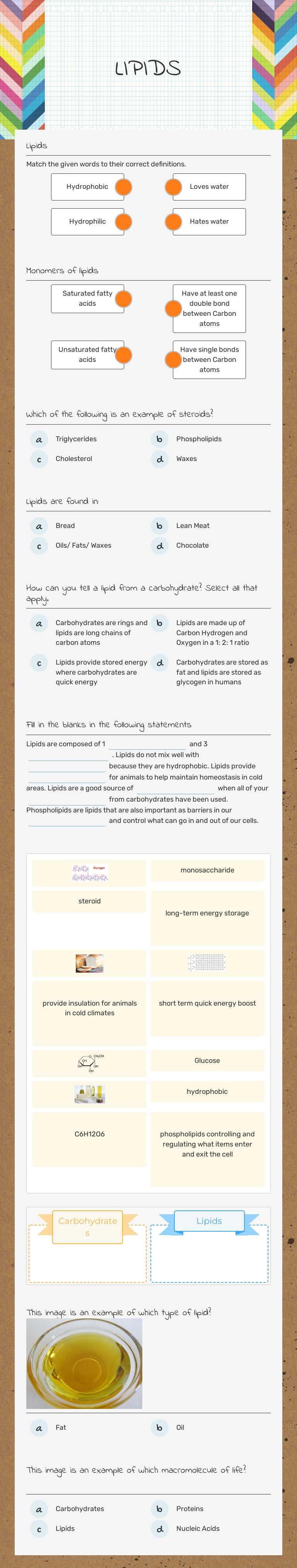 LIPIDS Grade 9 worksheet preview
