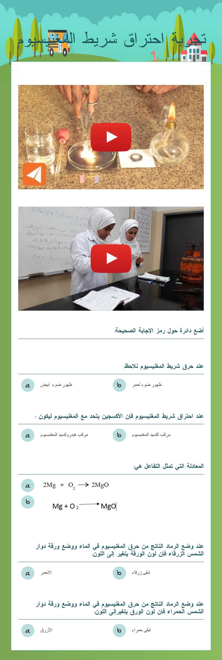 تجربة احتراق شريط المغنيسيوم worksheet preview image