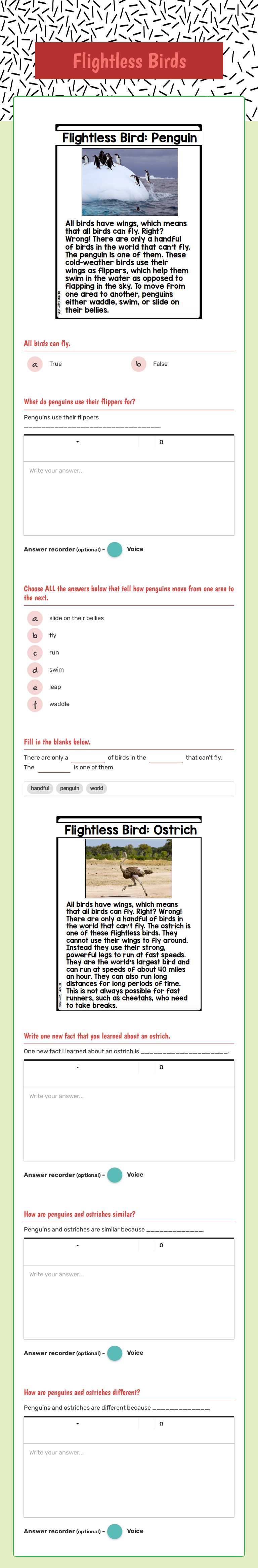 Flightless Birds worksheet preview