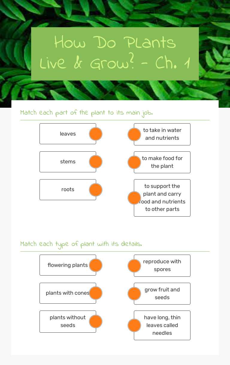 How Do PLants Live & Grow? - Ch. 1 worksheet preview image