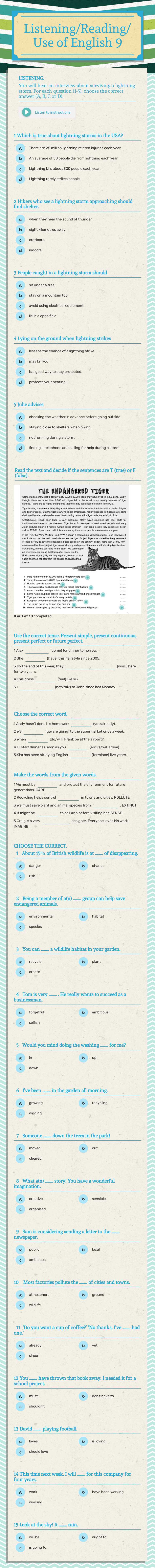 Listening/Reading/Use of English
9 worksheet preview image