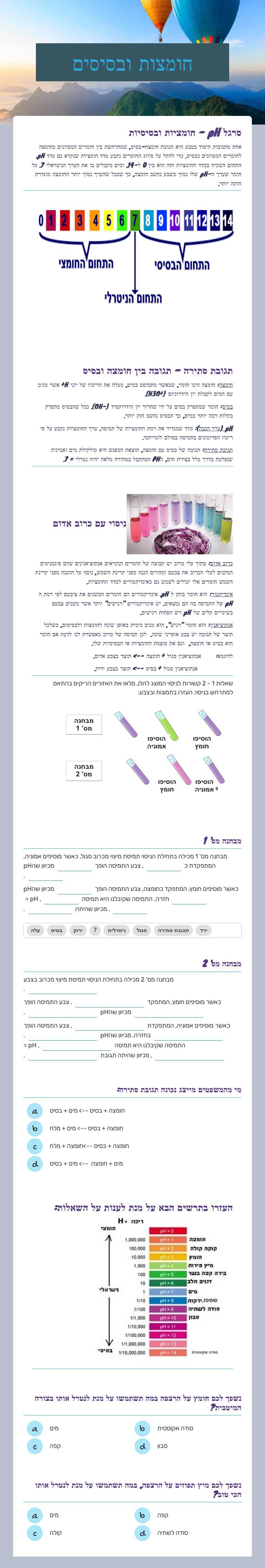 חומצות ובסיסים worksheet preview image