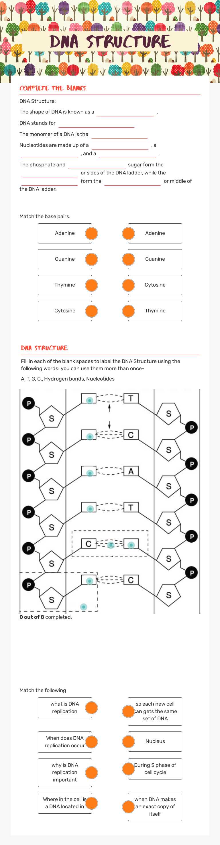 DNA Structure worksheet preview image