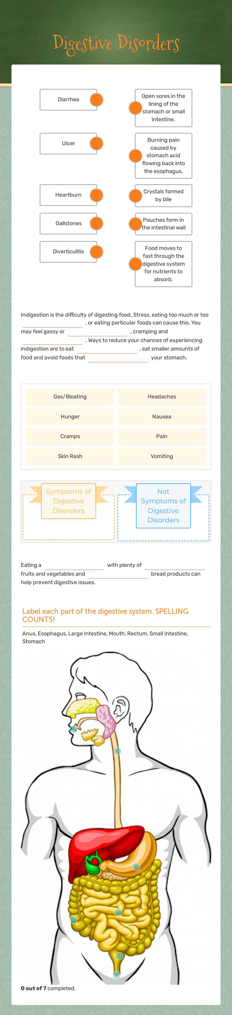 Digestive Disorders worksheet preview image